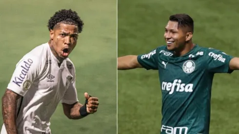 Marinho ou Rony? Quem será o