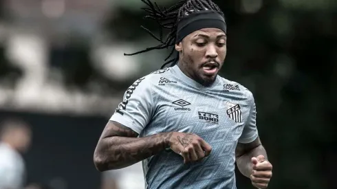Marinho é destaque santista — Foto: Ivan Storti/Santos FC