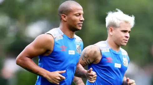 Foto: Pedro Ernesto Guerra Azevedo/ Flickr Oficial Santos FC/Divulgação