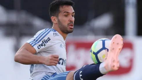 Foto: Flickr do Palmeiras