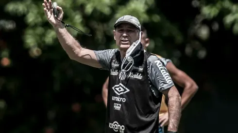 Foto: Ivan Storti/Flickr Oficial Santos FC/Divulgação