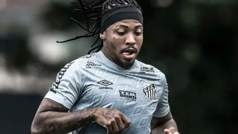 Foto: Ivan Storti/Flickr do Santos FC