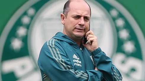 Foto: Divulgação/Flickr Oficial Palmeiras