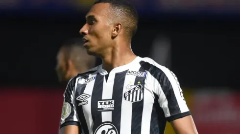 Foto: Ivan Storti/Santos FC
