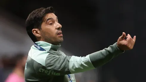 Foto: Flickr Oficial Sociedade Esportiva Palmeiras - autor: César Greco