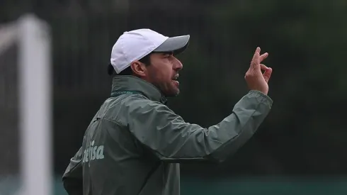 (Foto: Cesar Greco/Flickr Oficial Palmeiras/Divulgação)