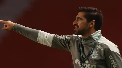 (Foto: Cesar Greco/Palmeiras/Divulgação)