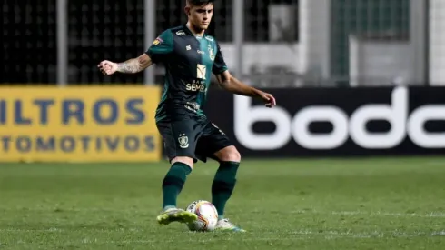 Mourão Panda / América