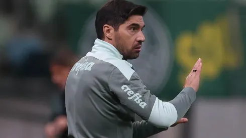 Foto: Cesar Greco/Palmeiras