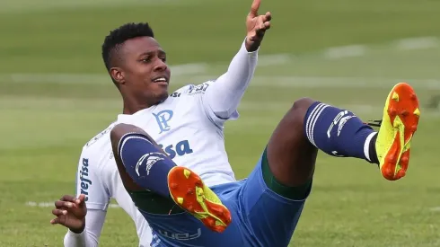 Foto: César Greco/ Palmeiras