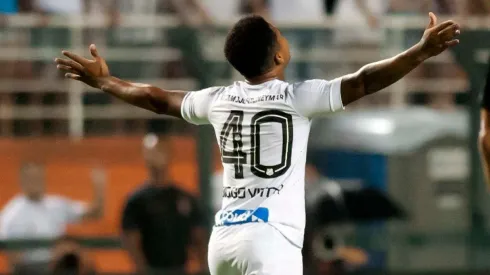 Foto: Ivan Storti/Santos FC