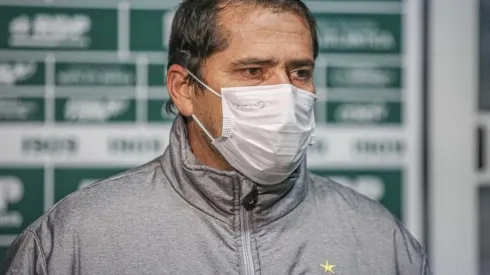 Foto: Divulgação/Coritiba