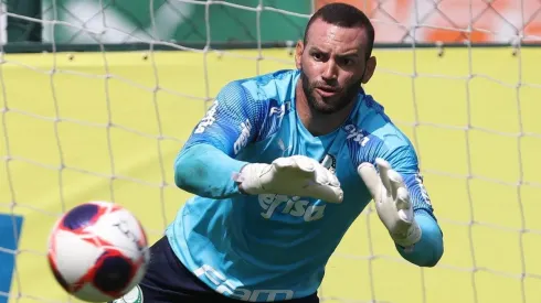 Foto: César Greco/ Flickr Palmeiras