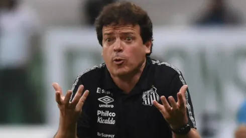 Foto: Ivan Storti/Santos FC