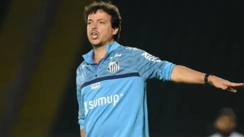 Foto: Ivan Storti/Santos FC