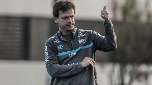 Foto: Ivan Storti/Santos FC