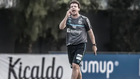 Foto: Ivan Storti/Santos FC