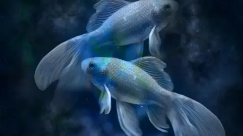 Previsões para hoje, sábado, 11 de setembro de 2021