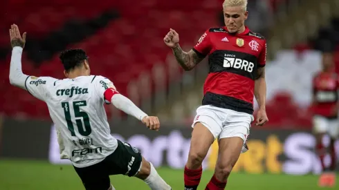Palmeiras e Flamengo farão mais um duelo neste domingo (12) pelo Campeonato Brasileiro (Foto: Jorge Rodrigues/AGIF)