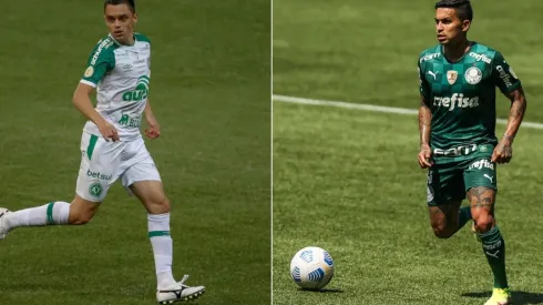 Chapecoense x Palmeiras medem forças neste sábado, 18, pela 21ª rodada do Brasileirão