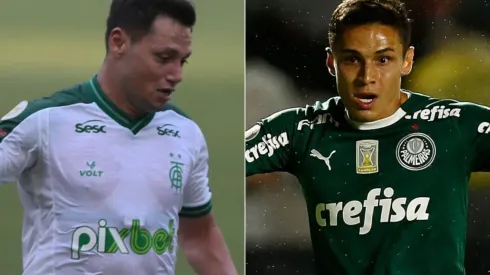 América-MG e Palmeiras se enfrentam nesta quarta-feira (Foto: Gil Gomes/AGIF e Getty Images)