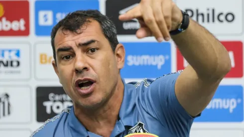 Fábio Carille, treinador do Santos (Foto: Luiz Erbes/AGIF)