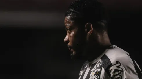 Santos terá presença da torcida nos estádios para apoiar o time nessa reta final de Brasileirão (Ettore Chiereguini/AGIF)