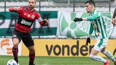 Flamengo x Juventude; prognósticos desse jogo da 26ª rodada (Foto: Alexandre Vidal / Flamengo)