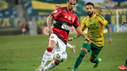 Flamengo x CUIABÁ; prognósticos do jogo da 27ª rodada (Foto: Alexandre Vidal / Flamengo)