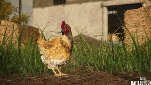 PUBG Battlegrounds: atualização 14.2 traz galinhas no mapa e novas armas