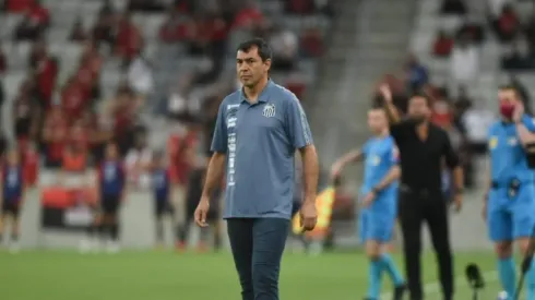 Carille é enfático sobre momento do Santos: