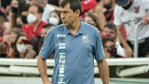 Fábio Carille durante partida contra o Athletico-PR (Robson Mafra/AGIF)