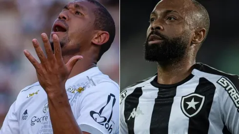 Ponte Preta x Botafogo: como assistir AO VIVO esse duelo do Brasileirão Série B. (Foto: Diogo Reis/Jorge Rodrigues/AGIF)