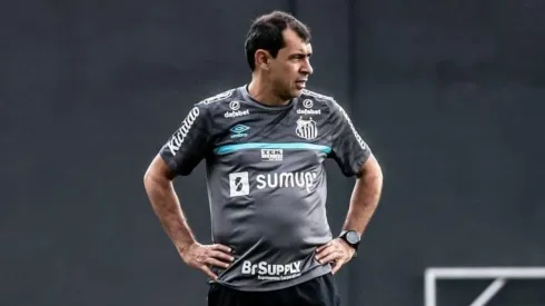 Carille tem arrumado a defesa santista (Twitter/Reprodução)