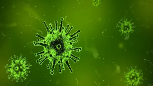 Foto: Pixabay - Foto ilustrativa de um vírus.