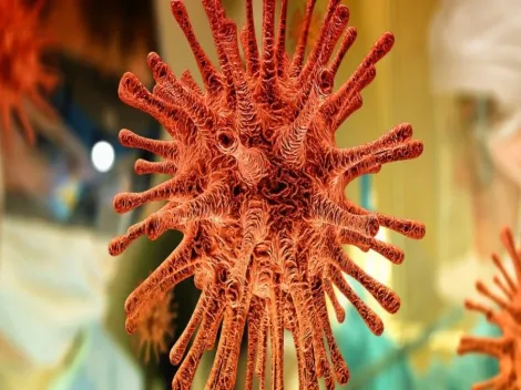 Com baixa taxa de vacinação, Brasil e outros países das Américas correm risco da volta de doença quase erradicada