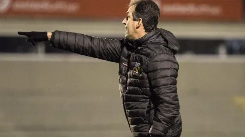 Foto: Robson Mafra/AGIF - Léo Condé técnico do Novorizontino