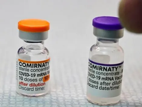 Aprovou! Anvisa autoriza vacina da Pfizer para crianças de 5 a 11 anos de idade; saiba mais