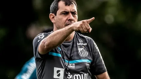 Foto: Ivan Storti/Santos FC/Divulgação - Carille: no aguardo de reforços no Santos para 2022