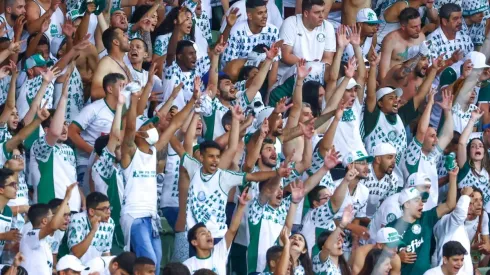 Torcida do Palmeiras poderá comprar ingressos para as partidas do Mundial a partir deste domingo (2)