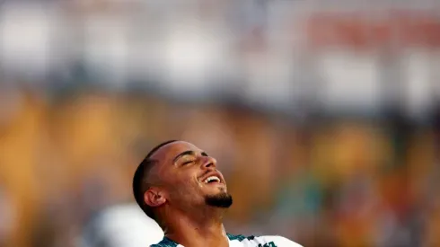 Paulista 2019, Novorizontino x Palmeiras