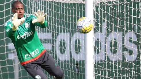 Foto: César Greco/ Palmeiras
