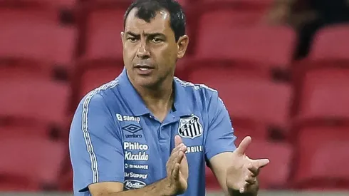 Foto: Pedro H. Tesch/AGIF