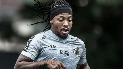 Foto: Ivan Storti/Santos