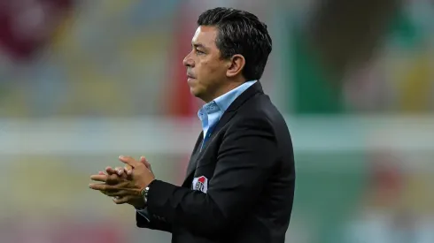 Foto: Thiago Ribeiro/AGIF – Gallardo quer atacante desejado pelo Palmeiras