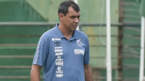 Foto: (Flickr Oficial Santos/Ivan Storti/Santos FC) - Carille expôs que o Santos projeta a chegada de um novo reforço para suprir uma carência do elenco