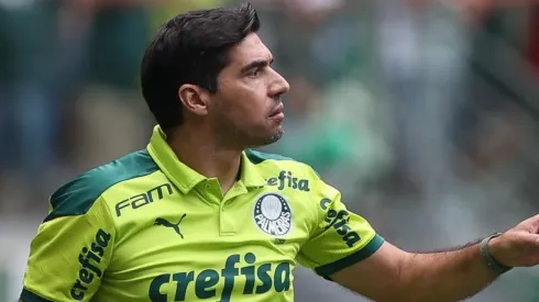 (Foto: Cesar Greco/Palmeiras/Flickr Oficial/Divulgação)