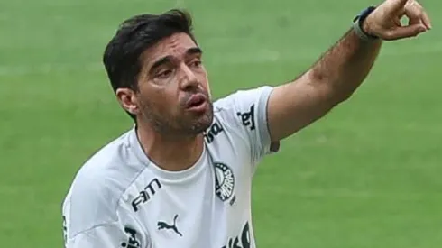 - Abel é o comandante palmeirense