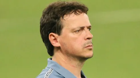 Fernando Diniz expõe se retornaria ao comando do Fluminense