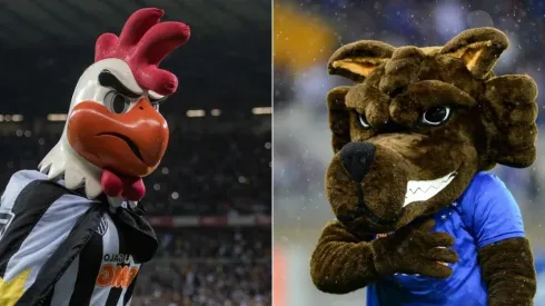 Foto: Alessandra Torres/AGIF / Andre Yanckous/AGIF